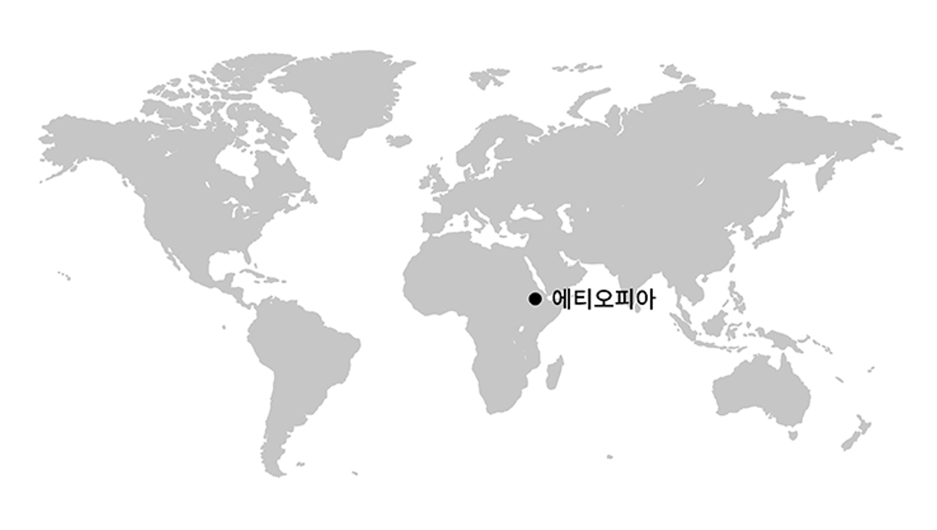 Ethiopia Sidamo 원산지